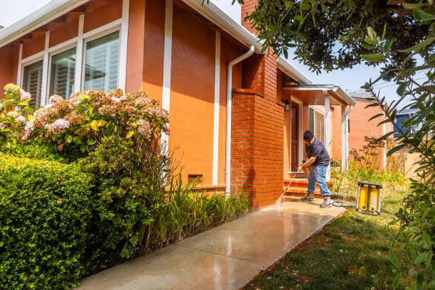 Best Power Washing Near Me  in Long Beach, IN